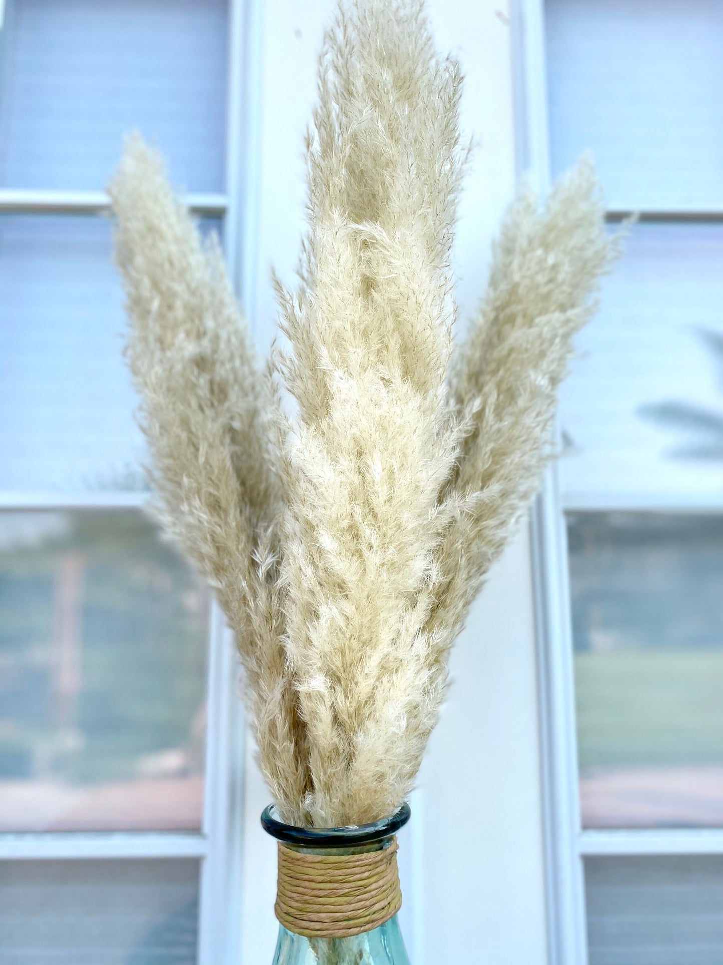 Real dried pampas grass wedding DIY center peace ceremony alley decoration flowers home decor