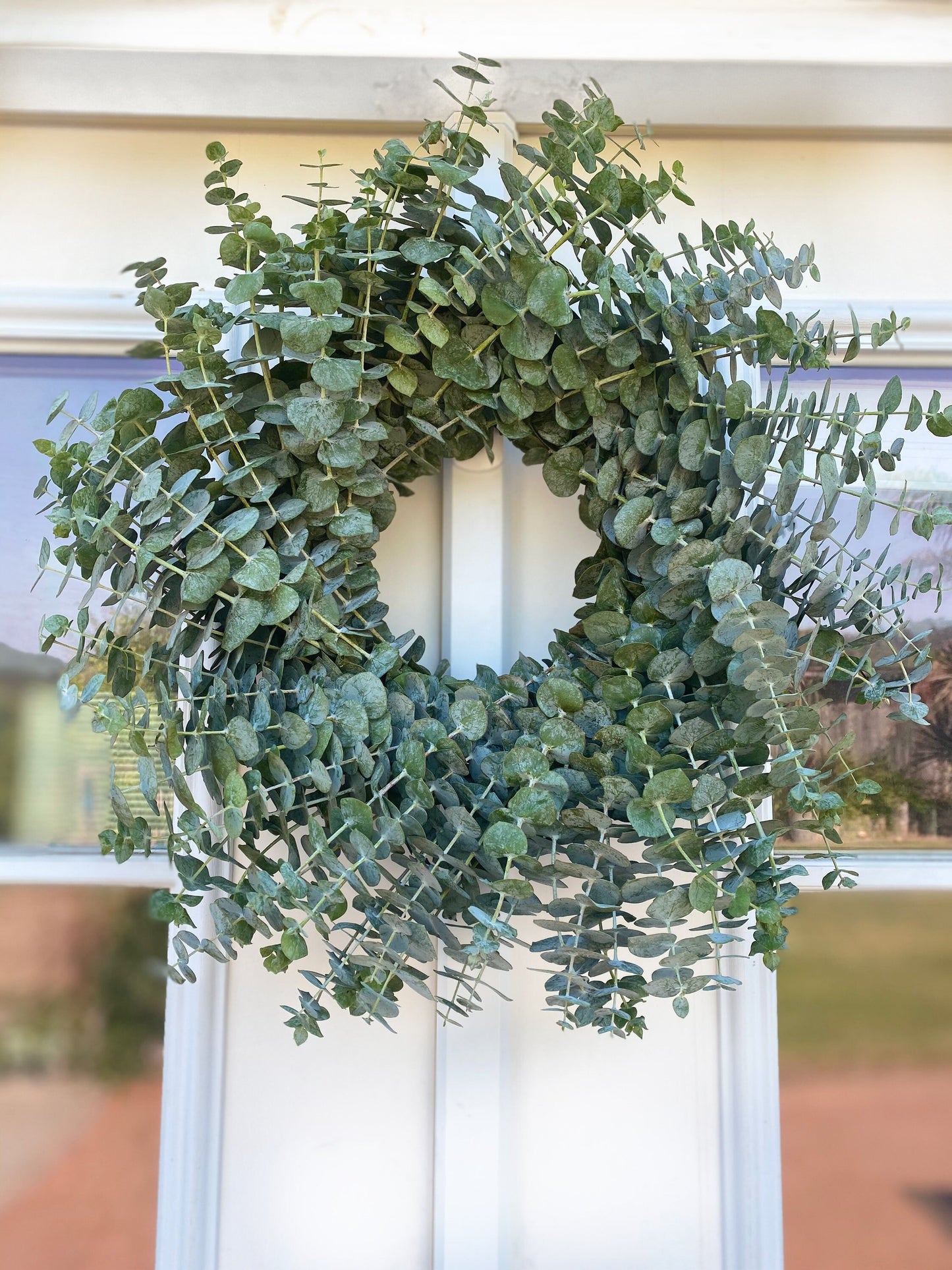 REAL EUCALYPTUS baby blue wreath eucalyptus  Front Door Porch Decor Aromatic, Wedding Party Home Office Birthday Gift Housewarming Spring