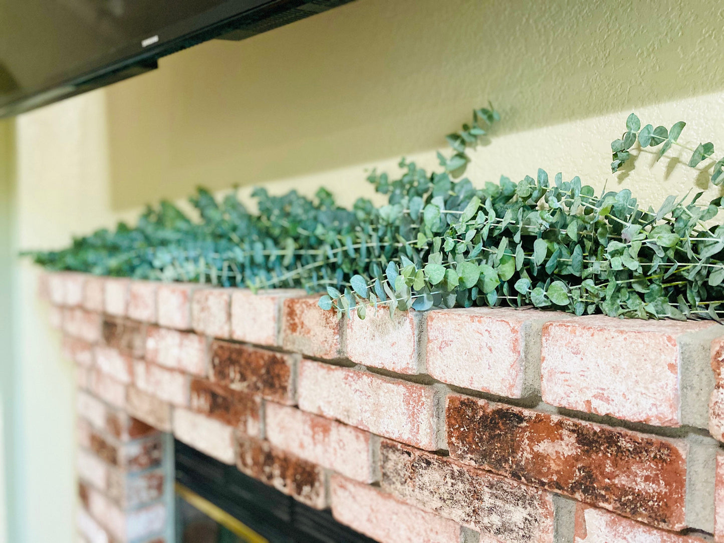 Baby blue eucalyptus garland for wedding dinner party centerpiece home decor, chimney, table runner, Mantel, Table Spring, Summer.