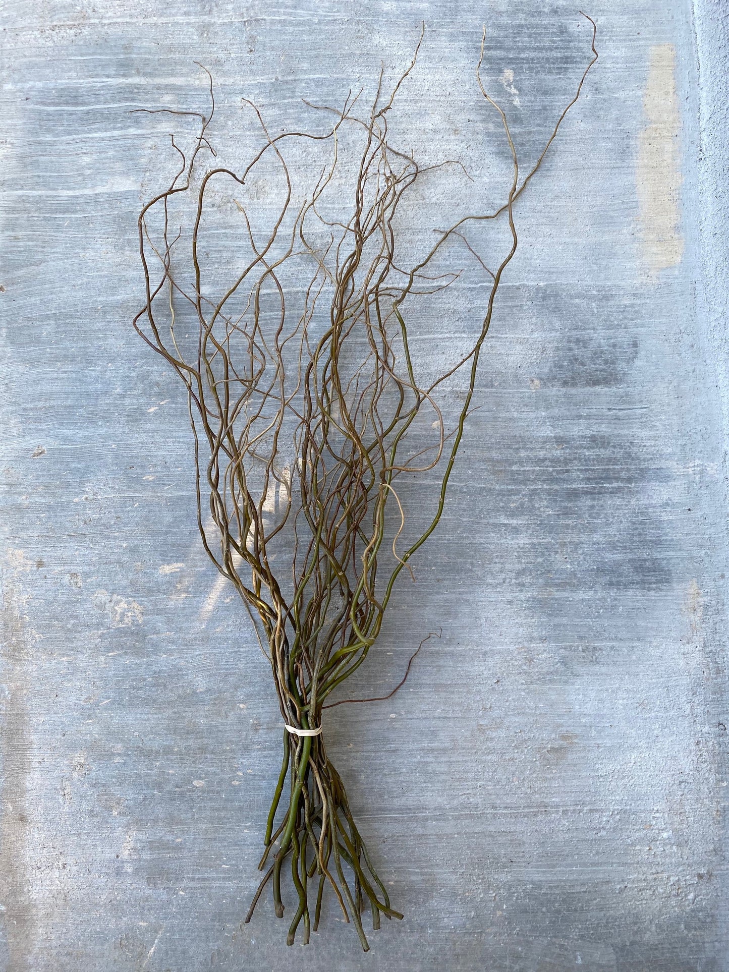 Fresh Real Curly Willow bundle, centerpiece, wedding decor, home decor, fall rustic, flower arrangement, spring, summer.