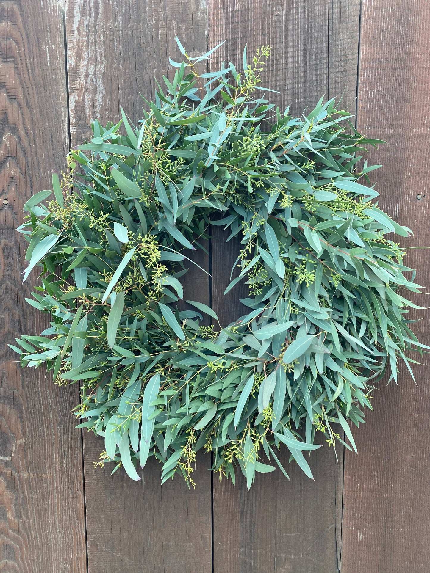 FRESH eucalyptus seeded and Eucalyptus parvifolia Front door decor. Spring, Easter Valentines Day Gift Decor, Birthday Gift, Housewarming.