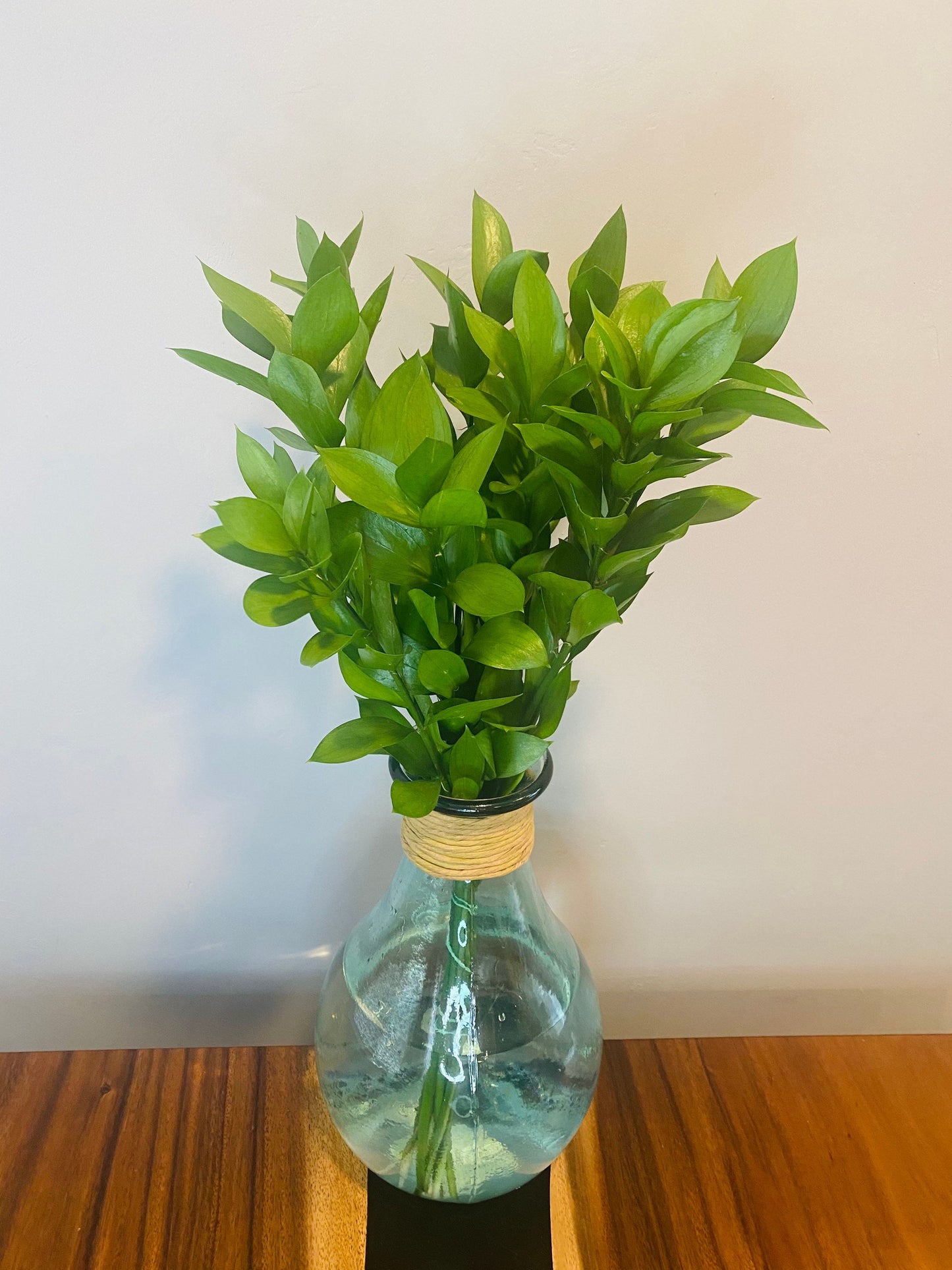 Freshly Cut Israeli Ruscus Bundle (10-12 stems) Greenery for party, event, wedding decor, long lasting foliage Christmas greens winter gift