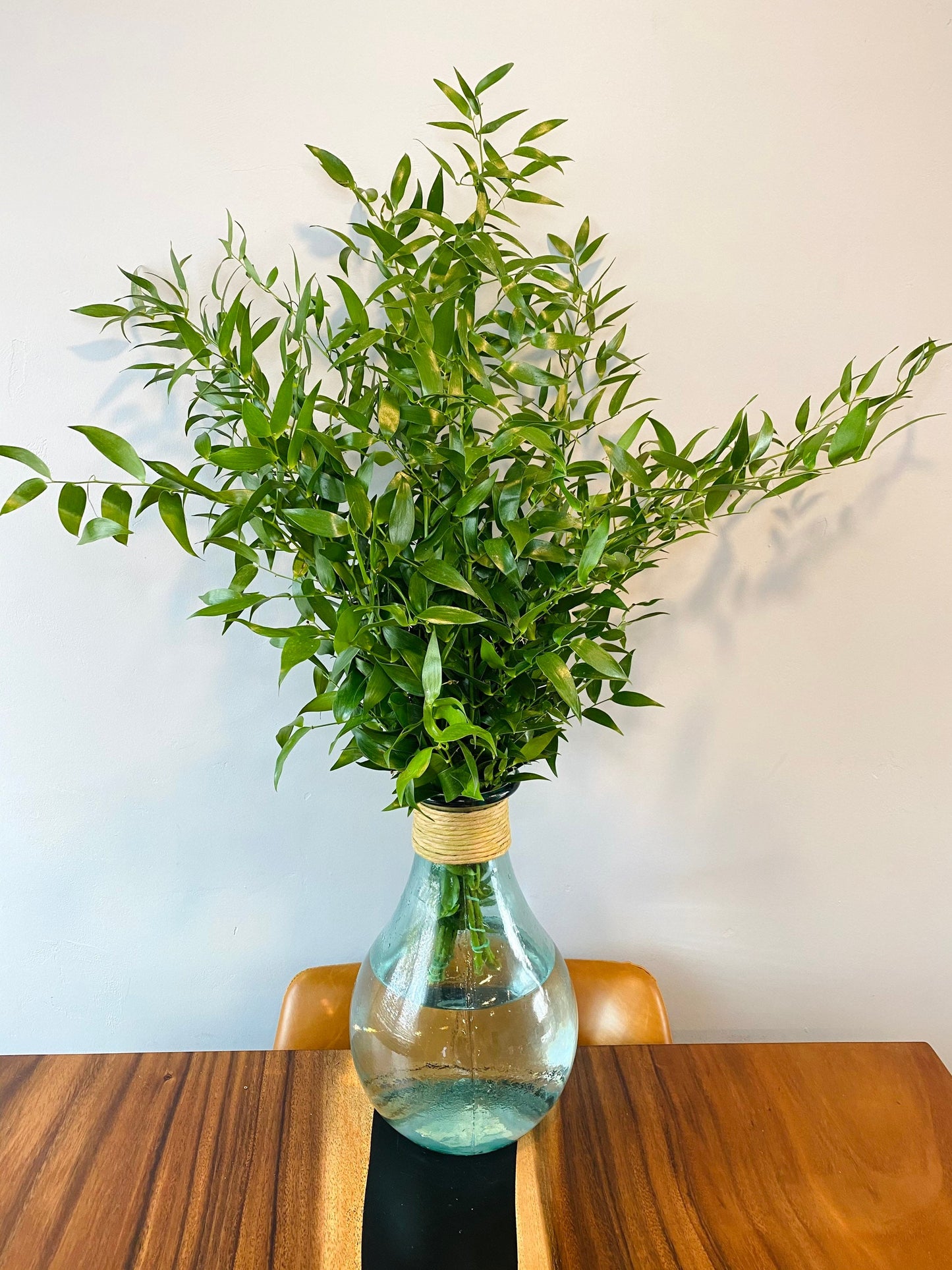 Freshly Cut Italian Ruscus Bundle (5 bushy stems) Greenery for party, event, wedding decor. Long lasting foliage, Aromatic, Thanksgiving