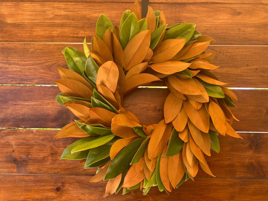 Fresh Real Magnolia Wreath for Fall, Autumn Wreath for Front Door Decor, Christmas, Home Decor, Kitchen, Wedding, Office, Aromatic, winter