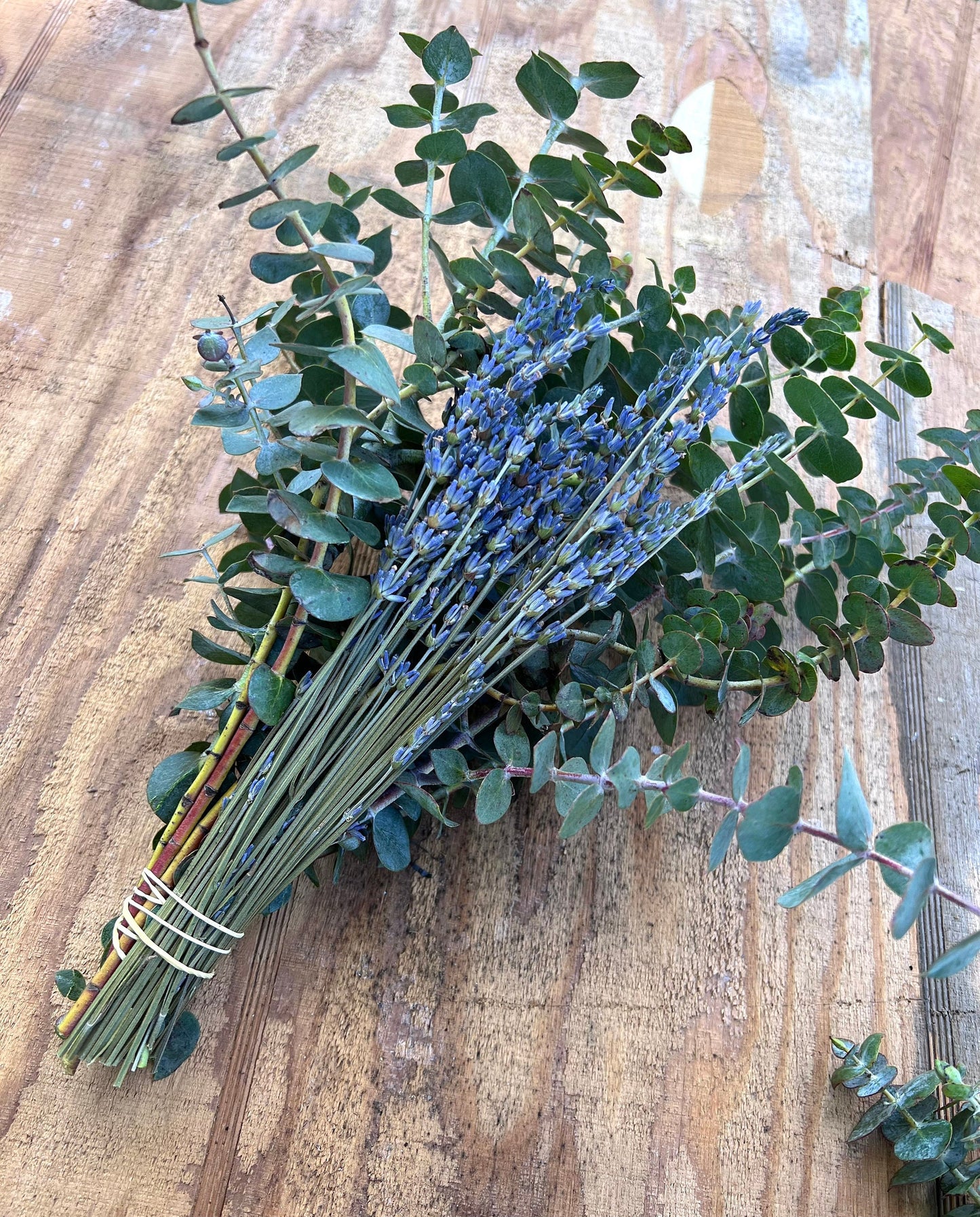 Eucalyptus Dried Lavender Bundle Decor Shower Aroma Therapy, Spa, Natural Decongestant, Fragrance, Wedding Greenery  Wedding Valentines Gift