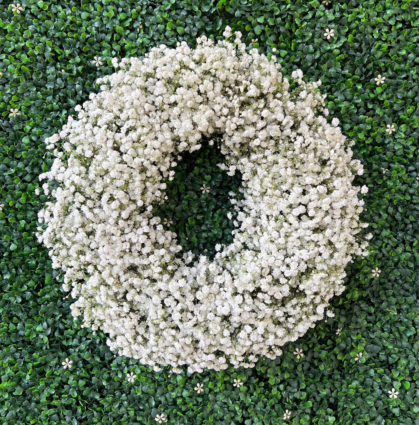 FRESH Real Baby’s Breath Wreath for Front Door, diameter Decor, Spring , Summer, Party, Wedding Decor, Birthday, Housewarming Gift Office