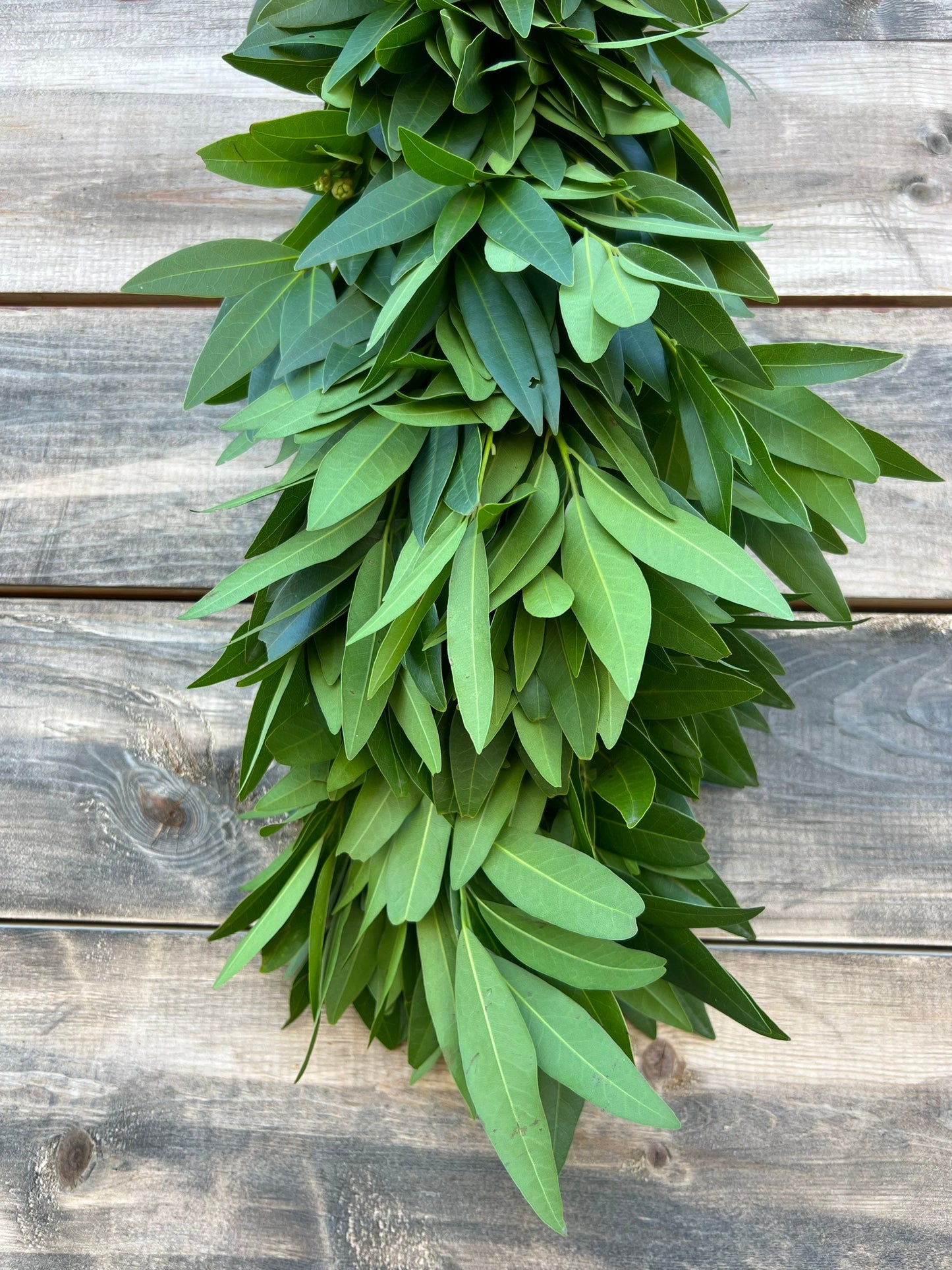 Fresh Bayleaf Laurel Garland, Table Runner, Centerpiece, Aromatic, Green, Gift, Spring, Easter, Wedding Decor, Dinner, Party