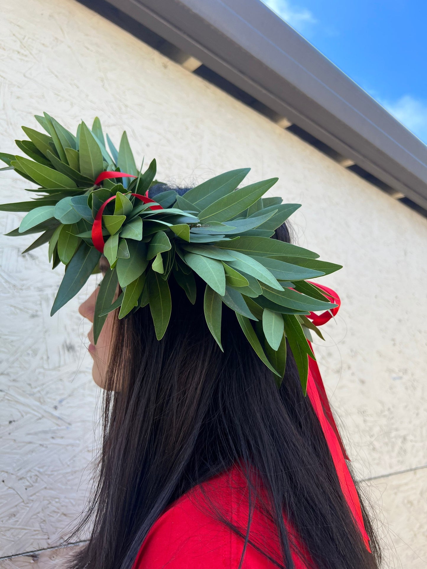 REAL Fresh Laurel Bayleaf Crown Greek Foliage Graduation red ribbon headpiece Italian Corona di Alloro College University Gift