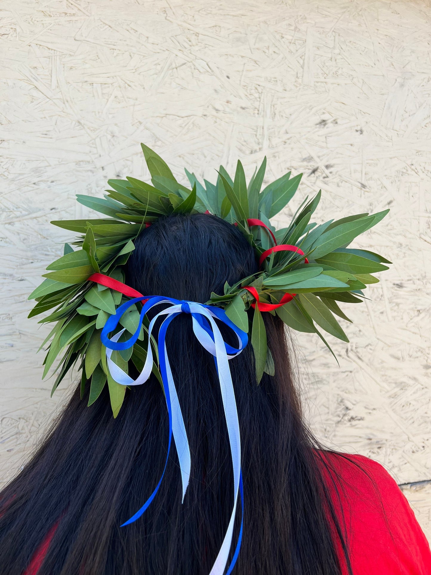 REAL Fresh Laurel Bayleaf Crown Greek Foliage Graduation red ribbon headpiece Italian Corona di Alloro College University Gift