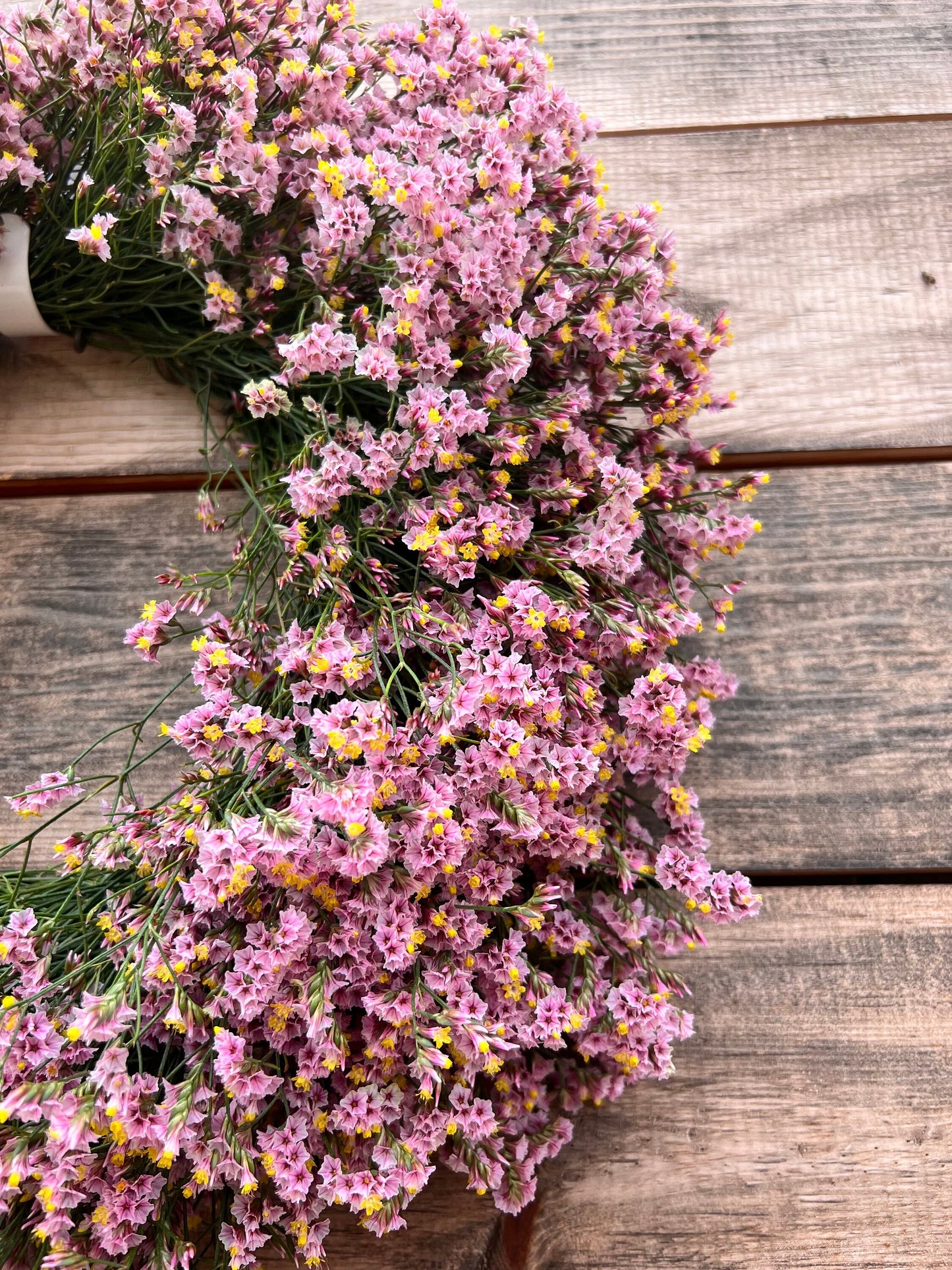 FRESH Real Pink Misty, Limonium, Summer Front Door wreath, Kitchen, Birthday Gift, Wall, Long Lasting, Winter, Christmas, New year.